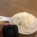 마동비어