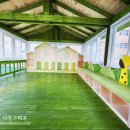 삼은초등학교 병설유치원 이미지