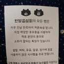 하동 빵집 후기, 반달곰상회, 밤톨, 26년 4월