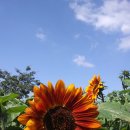 진상농장 이미지