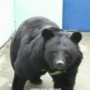 육림축산 이미지