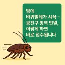 밤에 바퀴벌레가 샤샥… 2025년 광진구 방역 민원, 이렇게 하면 바로 접수됩니다.