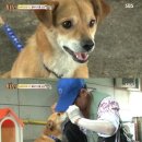 기다리다 이미지