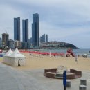 교촌치킨 마린시티점 이미지