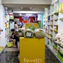 보라펫 이미지