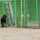 렉시호텔 이미지