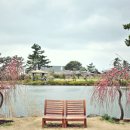 중산간서로 이미지