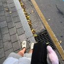 하대동160 이미지