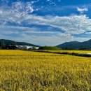 이천시 농기계임대사업소(남부분소) | 이천시농업기술센터 농기계임대사업