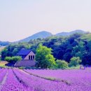 소리사랑 이미지