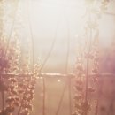 Moon.문.文 네이버블로그