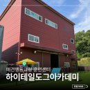 하이도그 | 용인 애견훈련 하이테일 도그아카데미 산책행동교정 찐후기