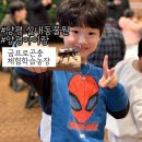 무지개 사슴농장 | 양평실내동물원:: 추운 겨울에 양평 아이랑 가볼만한 곳 양평 굼프로 곤충 체험학습농장 솔직후기