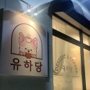 유하당 이미지