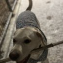 야옹아 멍멍해봐(에코시티점) 이미지