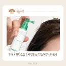뮤리나 플락소좀 두피앰플 &amp; 엑소레인 헤어토닉 후기 출산 후 탈모 고민을 해결한 두피케어