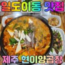 현이양이 이미지