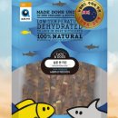 미키애견 이미지