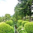 미로 한우인공수정소 | 1박2일 평창 여행 - 평창 켄싱턴호텔 정원 &amp; 휘닉스평창 루지랜드 다녀온 솔직후기 (3)