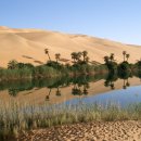 비가 내리지 않는 곳 사막기후(desert climate , 沙漠氣候) 이미지