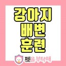 펫을 부탁해 이미지