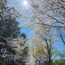 지리산쌍계한의원 네이버블로그