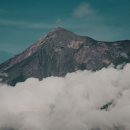 사구농장 이미지