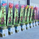 (주)에프앤티 이미지