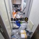 청소해적단 이미지