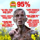 전율 카카오 검색결과