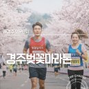 보덕동행정복지센터 | 경주 봄의 축제 속으로 2026 경주 벚꽃마라톤 주차 및 당일일정안내 필수 정보
