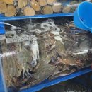 보성회센터 이미지