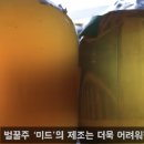 비하맥주