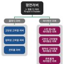 [탁구용품의 기본지식] (3) 평면러버와 돌출러버의 종류 (2010.1.2 개정판) 이미지