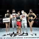 복싱팩토리 이미지