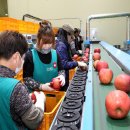 무주 농산물산지유통센터 이미지