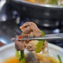 세븐일레븐 대가대학생회관점 | 강력추천 내포맛집 예향얼크니손칼국수! 두번째!