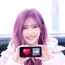 리즈_데이 이미지
