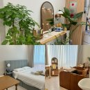 루나 산후조리원 동탄점 | 동탄 용인 루나산후조리원 방문 계약 후기 짝꿍 할인