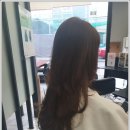 싹퉁머리 이미지