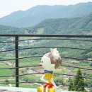 보성 녹차밭 전망대 카페 초록잎이 펼치는 세상 녹차 아이스크림과 다과 즐기기