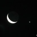 샛별 - 중구 국채보상로 470 | 샛별