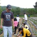 고천농장 이미지