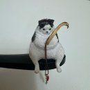 테무(Temu)리뷰, 비녀, 헤어핀 집게핀 후기(테무 추천 템)