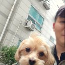 위드두유 이미지