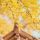 참사랑가정의학과의원 이미지