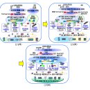 CCNA CCNP CCIE, IT839 기반기술 BcN의 배경과 발전, RIp 이미지