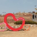 평택시 농업생태원3 이미지