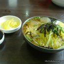 신선우동 Daum카페