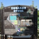 안중레포츠 공원 체육시설 축구장 이미지